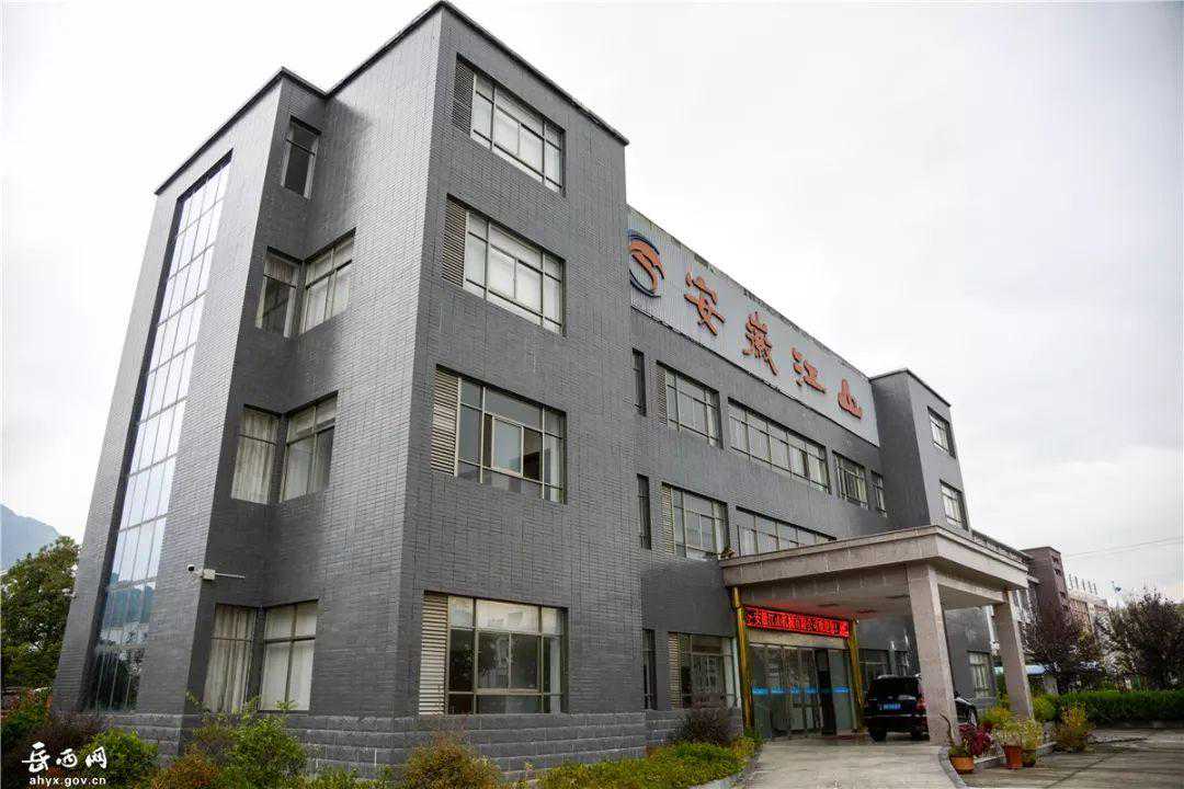 岳西知名企业，“小作坊”实现了“大变身”