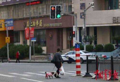 上海“电话亭女士”：帮我说一声，感谢网友的关心