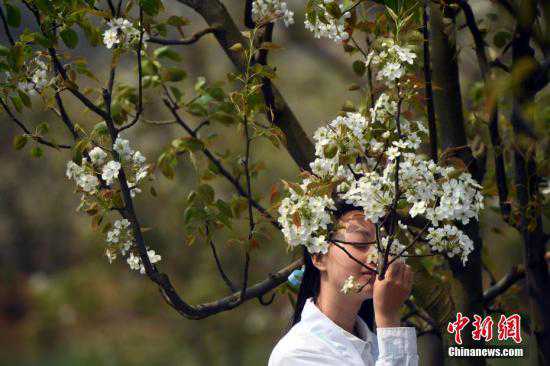 昆明至大理丽江等列车加开满足旅客踏青祭祀需求
