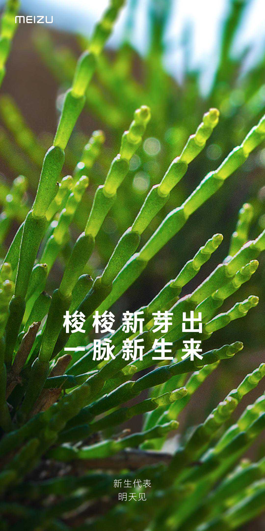 魅族：新生代表，明天见