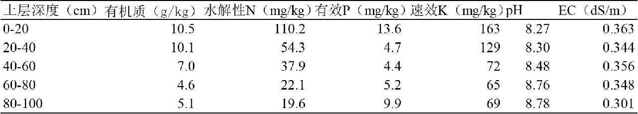 有机肥替代对鲁北平原轻度盐碱地土壤性状和作物产量的影响