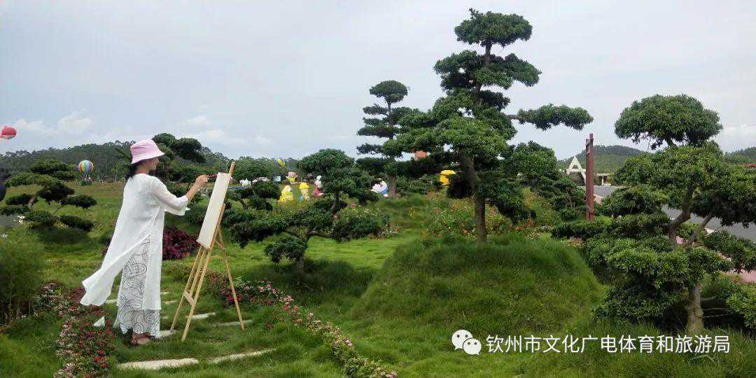 潮玩三月三 ，相约游钦州 || 今日推荐赏花登高一日游