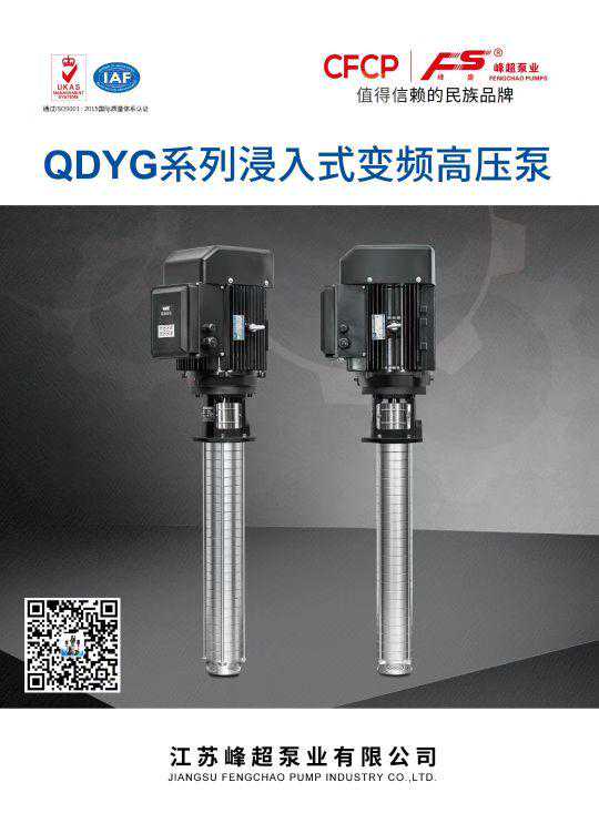 峰超泵业QDYG变频高压不锈钢浸入式机床冷却泵