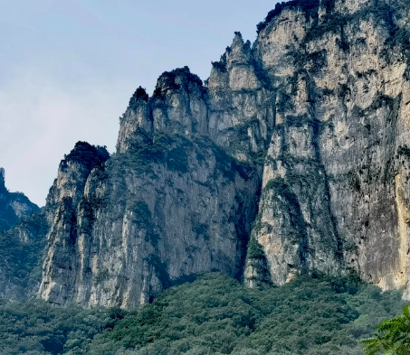 葛店经开区聚链成势打造智能裁剪装备智造新高地